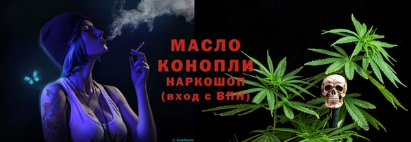 дживик Бронницы