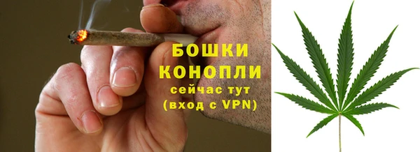 дживик Бронницы