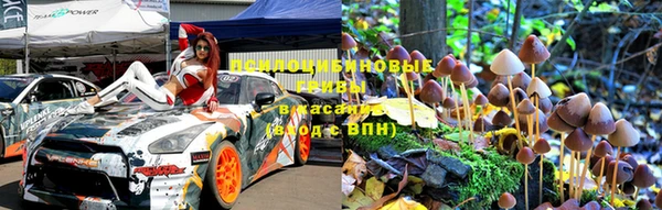 стаф Бугульма