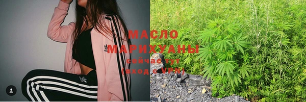 дживик Бронницы