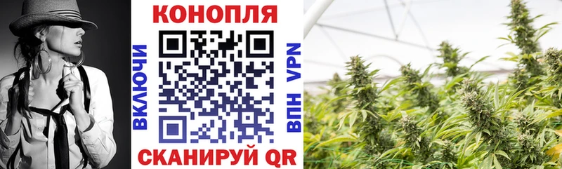 Шишки марихуана SATIVA & INDICA  Купить где  Верхоянск 
